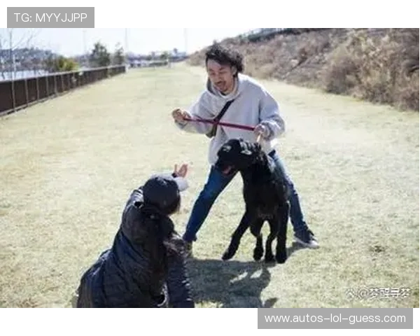足球场上球星与宠物狗的温馨时刻：他们是如何与爱犬一同征战绿茵的